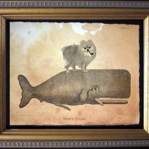 Pomeranian Dog Riding Whale Vintage Collage Print Tea Stain dog art gifts for dog mom dog christmas gifts for dog loss beach home art gifts image 1