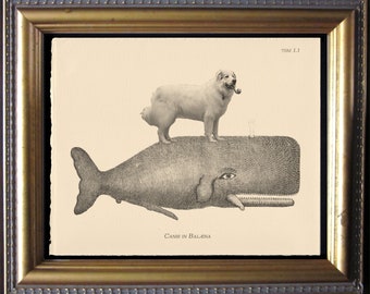 Great Pyrenees Riding Whale Art Print, Whimsical Dog Wall Art