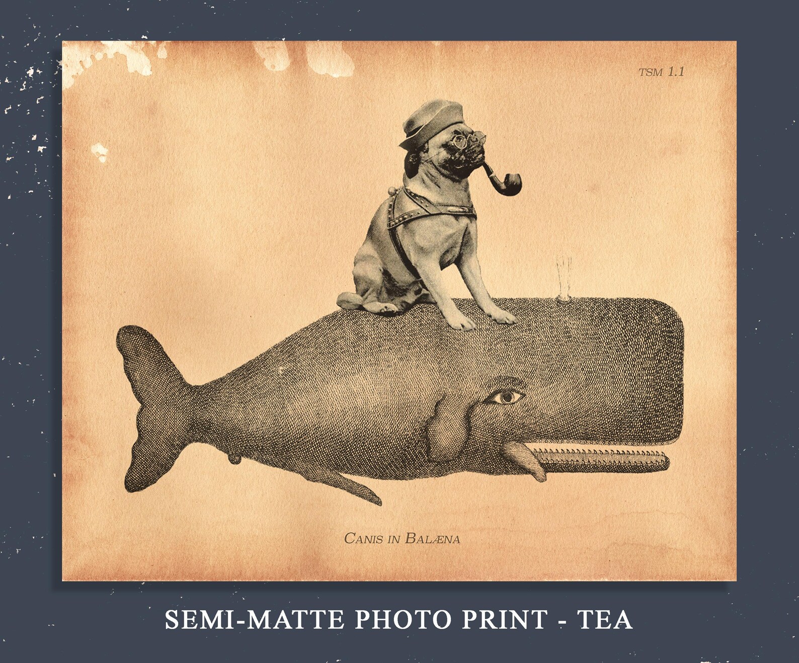 Vintage Style Deep Sea Diver Art Print, Tea Stained Nautical ...