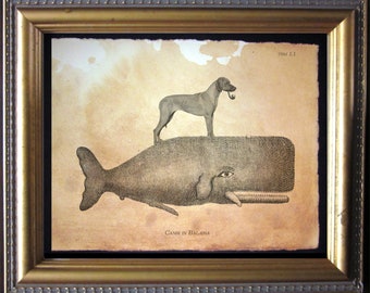 Rhodesian Ridgeback Dog Riding Whale – Vintage Collage Art Print on Tea-Stained Cotton Rag Paper | Whimsical Dog Lover Gift