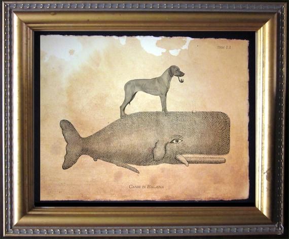 Rhodesian Ridgeback Dog Riding Whale Vintage Collage Print Tea - Main Image