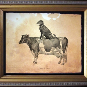 Labrador Retriever Lab Riding Cow Vintage Collage Print Tea Stained dog art dog gift for her gift home office art WFH gift