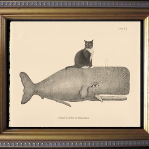 Tuxedo Cat Riding Whale Vintage Collage Print cat art gifts for christmas gifts for cat lovers gifts for boyfriends whale gifts for cat loss