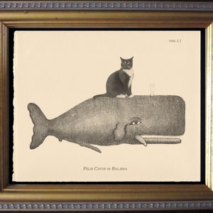 Tuxedo Cat Riding Whale Vintage Collage Print cat art gifts for christmas gifts for cat lovers gifts for boyfriends whale gifts for cat loss