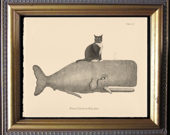 Tuxedo Cat Riding Whale Print – Vintage Style Art, Quirky Wall Decor