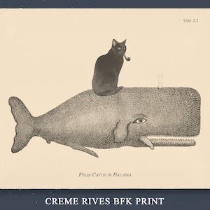 May include: A black cat with a pipe sits on the back of a whale. The whale is facing right and has a large eye. The image is in black and white and has a vintage style. The text "FELIS CATUS IN BALENA" is below the whale. The text "CREME RIVES BFK PRINT" is below the text "FELIS CATUS IN BALENA". The text "TSM 1.1" is in the top right corner of the image.