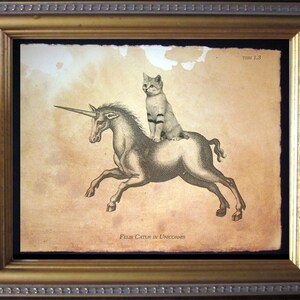 Puede incluir: Una ilustraci&oacute;n de estilo vintage de un gato blanco montando un unicornio. La imagen est&aacute; enmarcada en un marco dorado y tiene el texto "Felis Catus in Unicornis" y "TSM 1.3" impreso en ella.