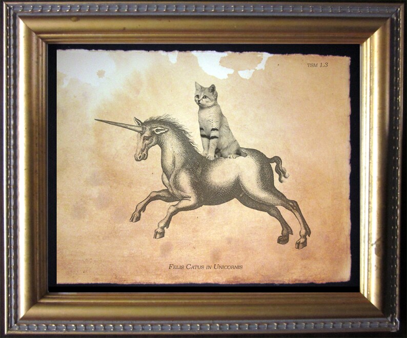 Puede incluir: Una ilustraci&oacute;n de estilo vintage de un gato blanco montando un unicornio. La imagen est&aacute; enmarcada en un marco dorado y tiene el texto "Felis Catus in Unicornis" y "TSM 1.3" impreso en ella.