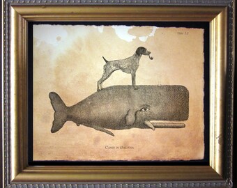 German Shorthair Pointer Dog Decor for Nursery Wall Decor for Dorm Dog Wall Art for Bathroom Dog Home Decor Wall Art for Office Whale Art