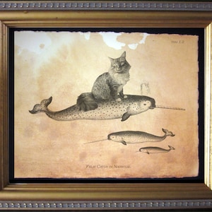 May include: Framed artwork featuring a cat riding a narwhal, with two additional narwhals below. The artwork is in sepia tones, with the text "Felis Catus in Narwhal" and "TSM 1.2" visible. The frame is gold.