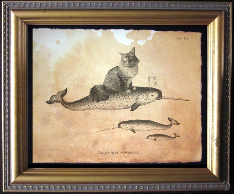 May include: Framed artwork featuring a cat riding a narwhal, with two additional narwhals below. The artwork is in sepia tones, with the text "Felis Catus in Narwhal" and "TSM 1.2" visible. The frame is gold.