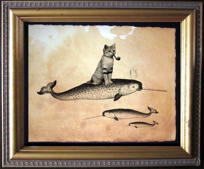 Sandcat Cat Riding Narwhal Vintage Collage Print tea stain cat art cat gifts for christmas gifts for cat lovers gifts for boyfriends image 1