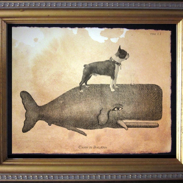 Boston Terrier Wall Art Dog Christmas Gift for Dog Anniversary Gift for Pet Housewarming Gift Dog Birthday Gift for Dog Memorial Gift