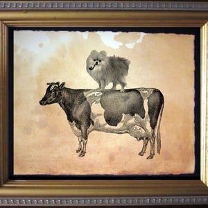 Pomeranian Dog Riding Cow  Vintage Collage Art Print on Tea Stained Paper   dog art  dog s      xmas  for momWFH office art