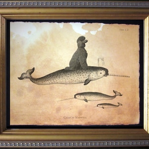Black Poodle Dog Riding Narwhal Vintage Collage Print Tea Stained Paper dog art gifts for dog mom dog christmas gifts for her dog loss gifts