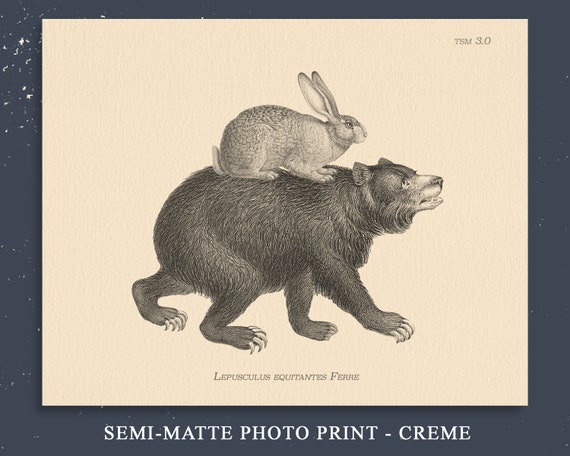 Whimsical Bunny Rabbit and Bear Art Print on Creme Paper - Perfect