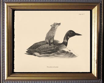 Fox Riding Loon Print | Vintage Inspired Art Print on Cotton Rag Paper | Whimsical Animal Art Gift | Sly as a Fox | Crazy as a Loon