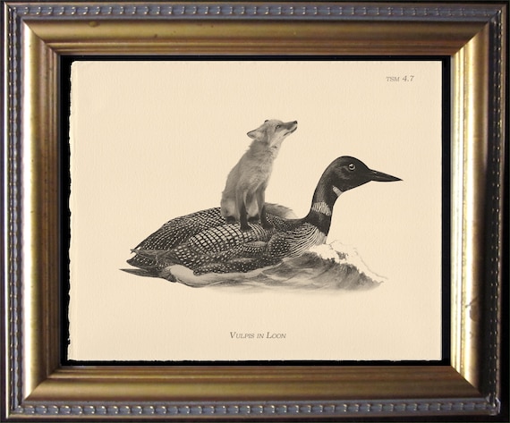 Fox Riding Loon Art Print, Vintage Style Animal Decor