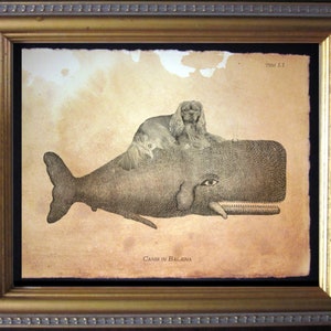 May include: A vintage illustration of a dog sitting on top of a whale. The image is in black and white and has a brown, aged paper background. The text "Canis in Balena" is printed below the image.