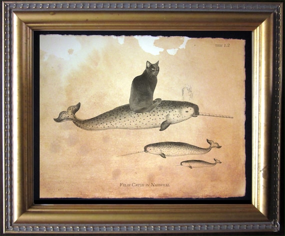 Black Cat on Narwhal Vintage Collage Art Print Tea Stained ...