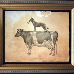 Aus Cattle Dog Wall Art Dog Christmas Gift Dog Anniversary Gift for Pet Housewarming Gift for Dog Birthday Gift for Dog Mom Dog Memorial