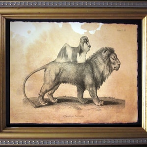 Shih Tzu Dog Riding Lion Vintage Collage Print Tea Stained Paper dog art dog  for her dog  for him pet art pet  noveltydog christmas gift