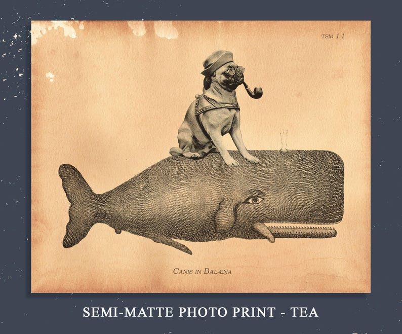May include: A sepia-toned print featuring a pug wearing a hat and smoking a pipe while sitting on a large whale. The whale has a human eye on its side and an open mouth. The text TSM 1.1 appears in the top right, and Canis in Balena is at the bottom.