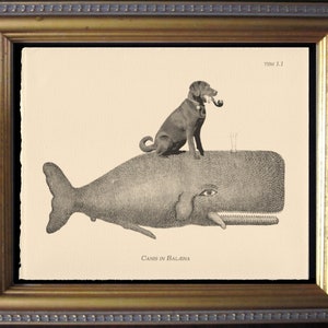 Chocolate Lab Dog Riding Whale – Vintage Collage Art Print on Tea-Stained Cotton Rag Paper | Dog Lover Wall Art