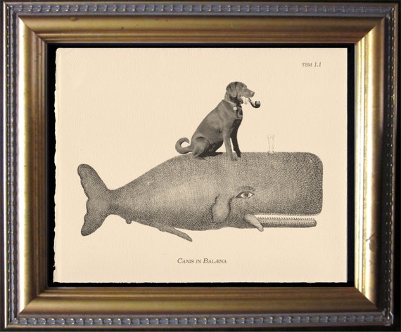 Chocolate Lab Dog Riding Whale – Vintage Collage Art Print on Tea-Stained Cotton Rag Paper | Dog Lover Wall Art