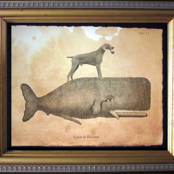 Weimaraner Dog Riding Whale Vintage Collage Print Tea Stained dog art dog gift for her gift for home office art WFH art dog mom