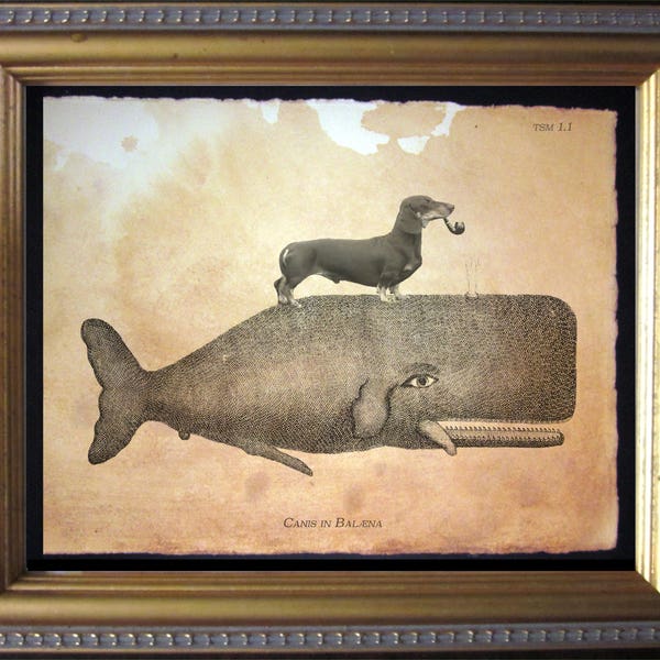 Black Dachshund Wiener Dog Riding Whale  Vintage Collage Art Print on Tea Stained Paper  dog   for her doxie art  WFH office art