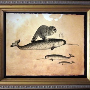 Raccoon Riding Narwhal  Vintage Collage Art Print on Tea Stained Paper   dog art  dog s        xmas  for momWFH office artdog christmas gift