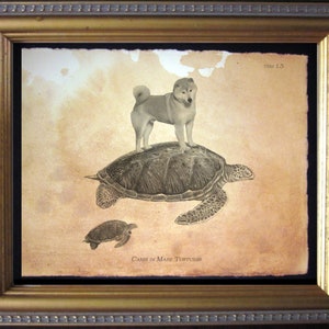 Shiba Inu Dog on Turtle Collage Print Tea Stain dog art gifts for dog owners gift for dog mom dog christmas gifts for her dog loss gifts