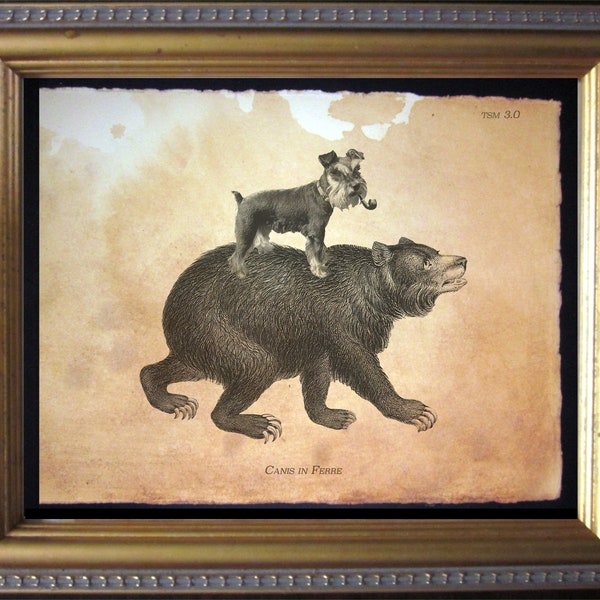 Mini Schnauzer Dog Riding Bear Vintage Collage Print Tea Stained dog art dog personalized gift dog gifts for boyfriends christmas gift