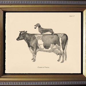 Dachshund Riding Cow Vintage Collage Print dog art gifts for christmas gifts for dog lovers gifts for boyfriends whale gifts for dog loss