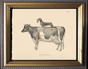 Dachshund Dog Riding Cow – Vintage Collage Art Print on Cream Cotton Rag Paper | Dog Lover Wall Art