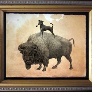 Miniature Pinscher Min Pin Riding Buffalo  Vintage Collage Art Print on Tea Stained Paper        xmas  for momWFH office art