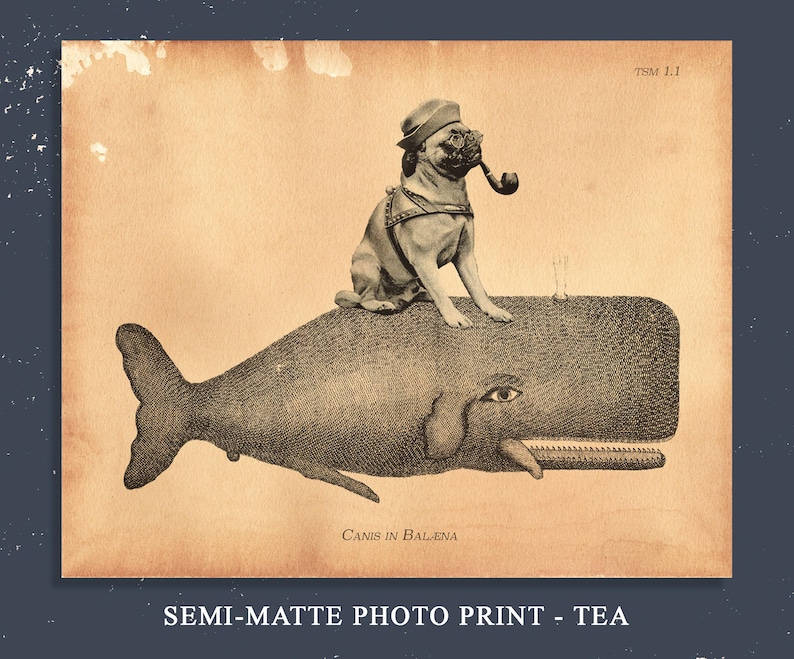 May include: A sepia-toned print featuring a pug wearing a hat and smoking a pipe, perched atop a whale. The illustration has a vintage aesthetic, with the text "Canis in Balena" at the bottom. The print is labeled "Semi-Matte Photo Print - Tea".