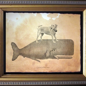 Labrador Retriever Yellow Lab Riding Whale Vintage Collage Print Tea Stain dog art gifts for her dog mom gifts for dog dad father&#39;s day gift