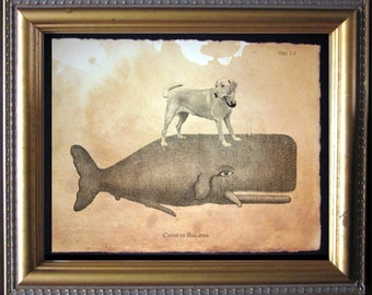 Labrador Retriever Yellow Lab Riding Whale – Vintage Collage Art Print on Tea-Stained Cotton Rag Paper | Quirky Dog Wall Decor