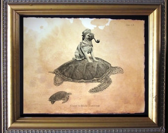 May include: Framed artwork featuring a pug wearing a sailor hat and smoking a pipe, riding a large sea turtle. A smaller turtle swims below. The artwork is in sepia tones, with the text "Canis in Mare Turtures" at the bottom.