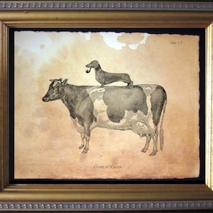 Dachshund Wiener Dog Riding Cow Vintage Collage Print Tea Stained dog art gifts for her dog loss gifts for dog mom home office art gifts