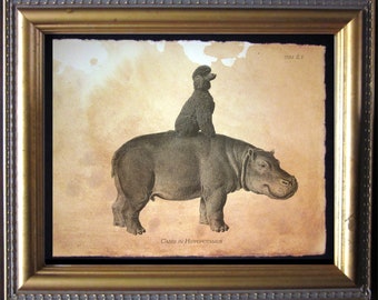 Black Poodle Riding Hippo Art Print, Antique Style Dog Decor