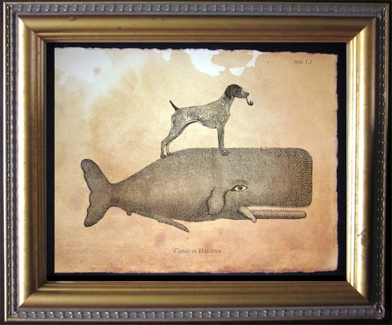 German Shorthaired Pointer Riding Whale – Vintage Collage Art