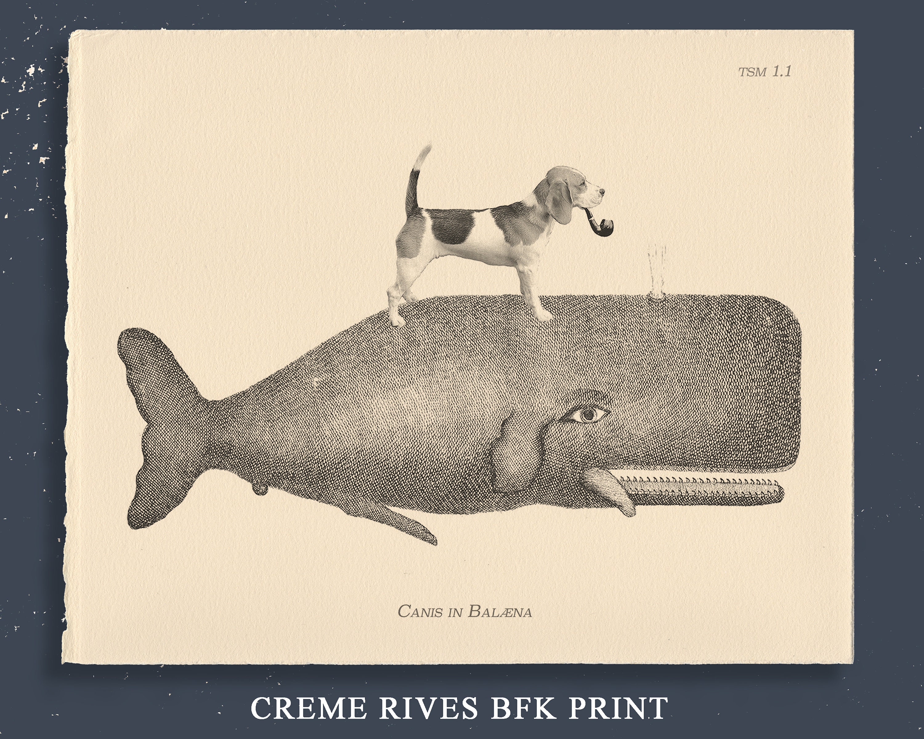 Beagle Dog Riding Whale Vintage Collage Art Tea Stain Dog