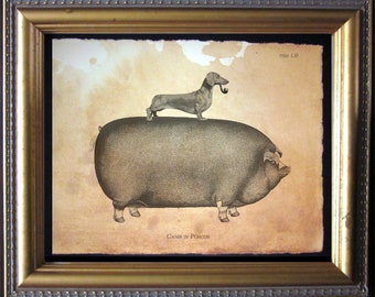 Dachshund Wiener Dog Riding Pig Vintage Collage Print Tea Stain dog art gifts for dog moms dog christmas gifts dog loss gifts for dog dads