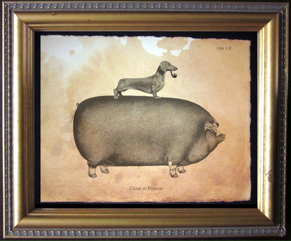 Dachshund Wiener Dog Riding Pig Vintage Collage Print Tea