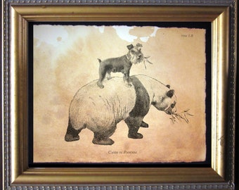 Mini Schnauzer Dog Riding Panda Bear Vintage Collage Print Tea Stained Paper dog art dog  for her novelty  for  WFH office art
