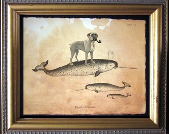 Boxer Dog Riding Narwhal Art Print, Whimsical Dog Wall Art