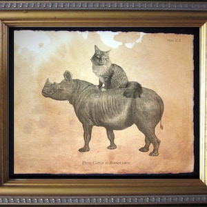 Maine Coon Cat Riding Rhinoceros Cat Riding Rhino vintage Collage Print Tea Stained cat art cat for her cat for him nouveauté